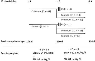 Bovine Colostrum Before or After Formula Feeding Improves Systemic Immune Protection and Gut Function in Newborn Preterm Pigs